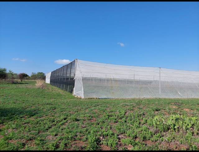 10HA FARM FOR SALE IN GROBLERSDAL RURAL